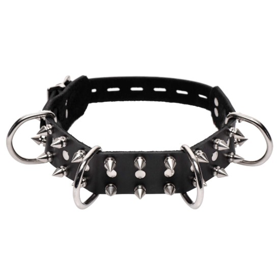 Picture of Strict Leather Spiked Dog Collar