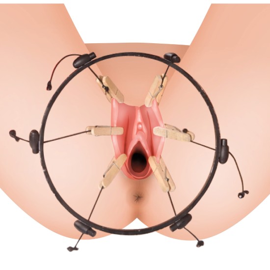 Picture of The Pussy Spreader Female Bondage Device