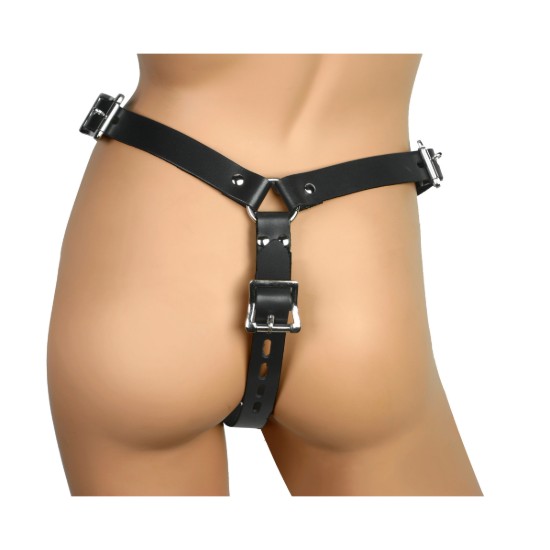 Picture of Strict Leather Male Chastity Device Harness