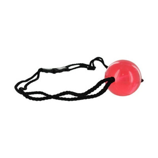 Picture of Apprentice Ball Gag