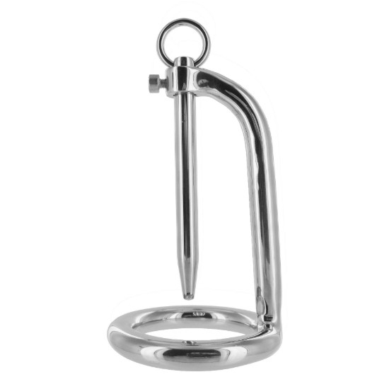 Picture of Stainless Steel Cock Ring and Urethral Plug