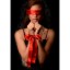 Picture of Scarlet Red Satin Sash Set