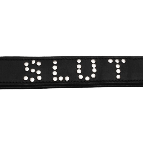 Picture of Studded Leather Slut Collar
