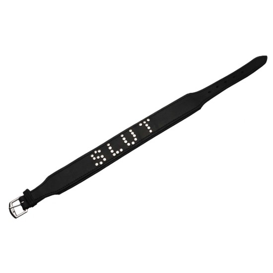 Picture of Studded Leather Slut Collar