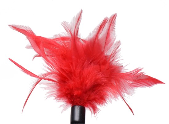 Picture of Le Plume Feather Tickler - Red