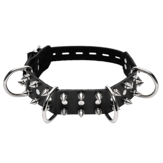 Picture of Bad Dog Leash and Spiked Collar Kit