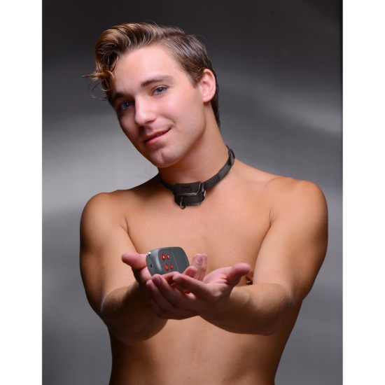 Picture of Jolt Electro Puppy Trainer Shock Collar