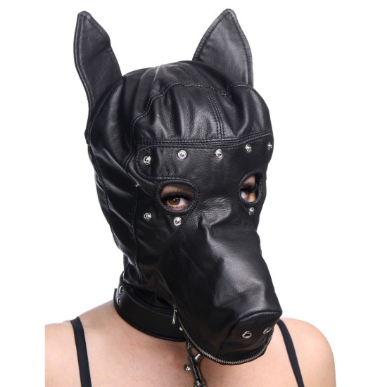 Picture of Deluxe Puppy Play Essentials Kit