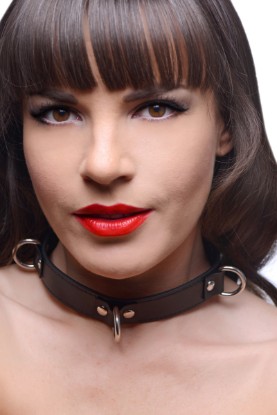 Picture of Slim Adjustable Snap Collar with D-Rings