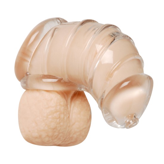 Picture of Detained Soft Body Chastity Cage