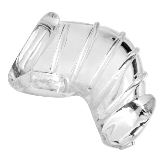 Picture of Detained Soft Body Chastity Cage