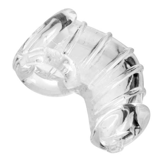 Picture of Detained Soft Body Chastity Cage