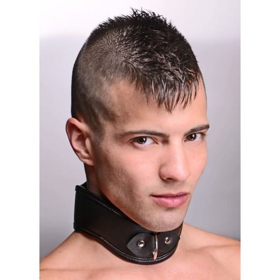 Picture of Straight Up Padded Locking Posture Collar