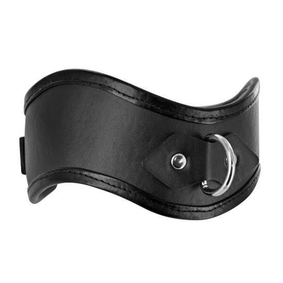 Picture of Straight Up Padded Locking Posture Collar
