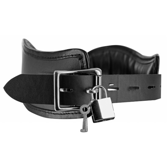 Picture of Straight Up Padded Locking Posture Collar