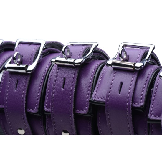 Picture of Purple 5 Piece Locking Leather Bondage Set
