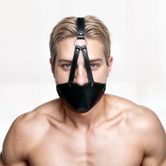 Picture of Mouth Harness with Ball Gag