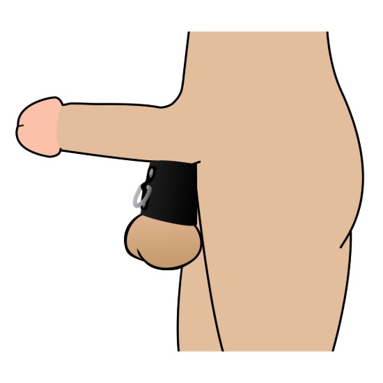 Picture of 2 Inch Ball Stretcher with D-Ring