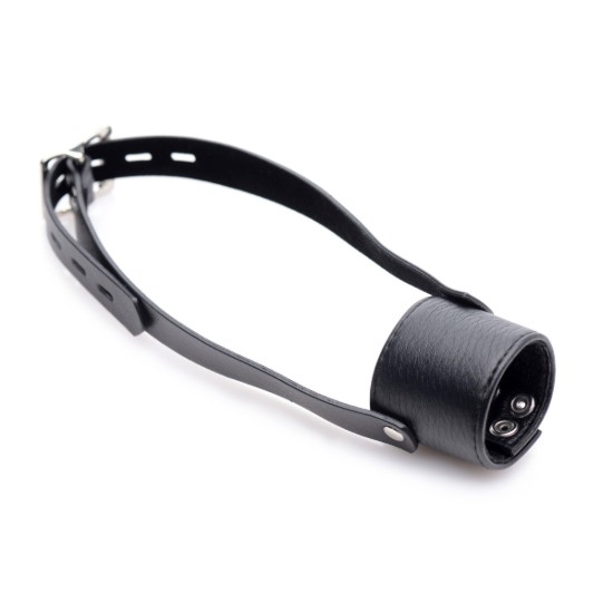 Picture of Balls to Mouth Gag