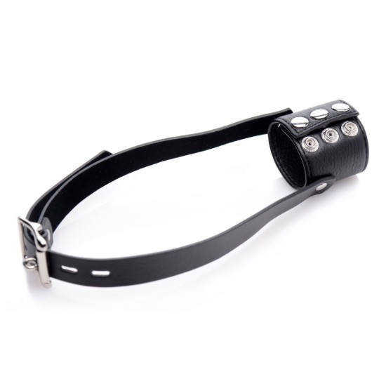 Picture of Balls to Mouth Gag