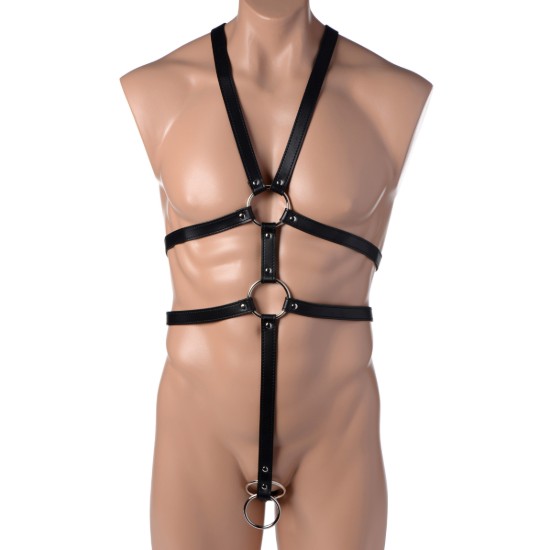 Picture of Male Full Body Harness