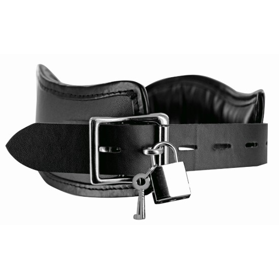 Picture of Locking Posture Collar