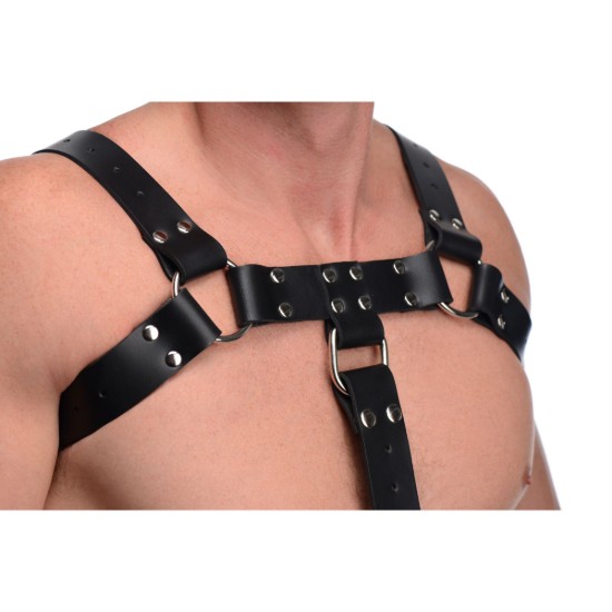 Picture of English Bull Dog Harness with Cock Strap