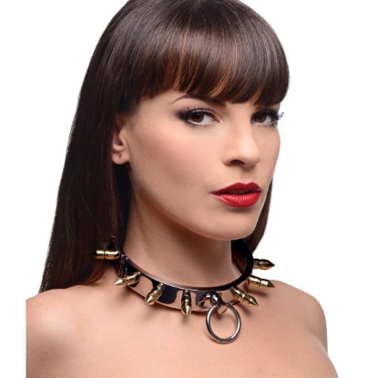 Picture of Stainless Steel Spiked Slave Collar
