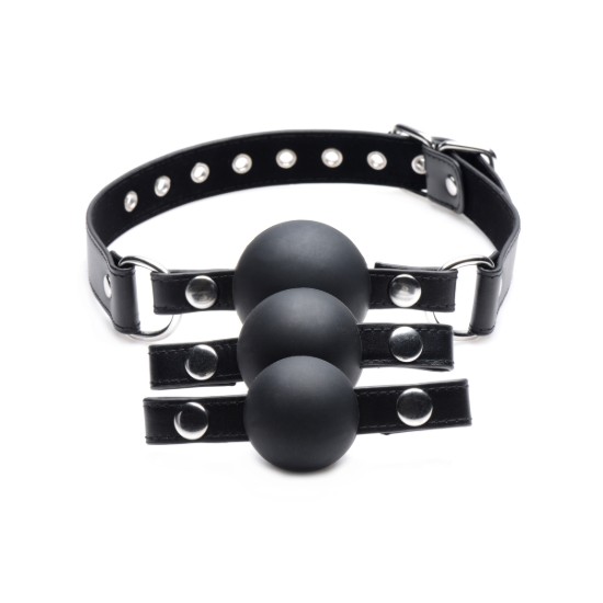 Picture of Interchangeable Silicone Ball Gag Set