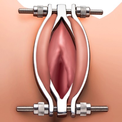 Picture of Stainless Steel Adjustable Pussy Clamp
