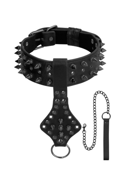 Picture of Deluxe Spiked Collar With Leash