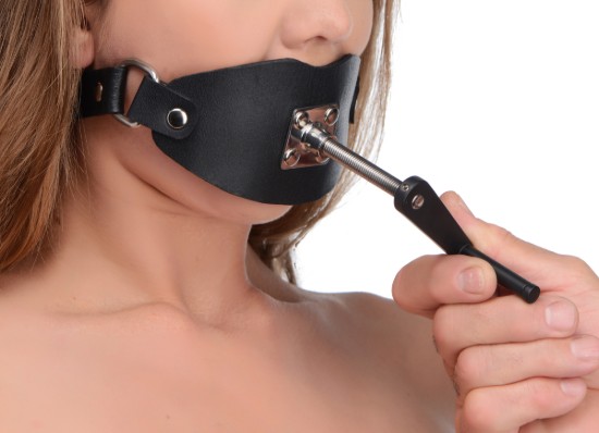Picture of Crank Ball Gag