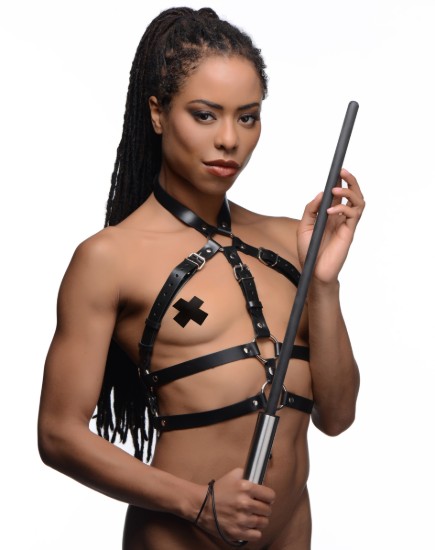 Picture of Command Impact Cane