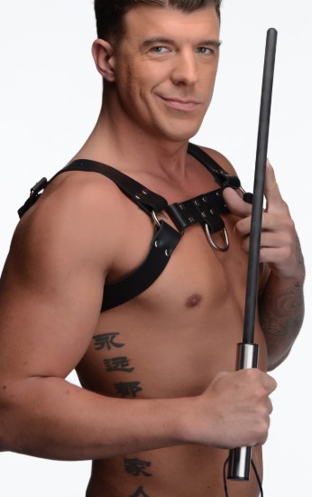 Picture of Command Impact Cane