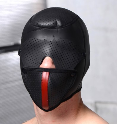 Picture of Scorpion Hood With Removable Blindfold and Face Mask