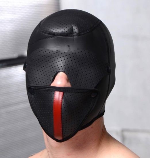 Picture of Scorpion Hood With Removable Blindfold and Face Mask