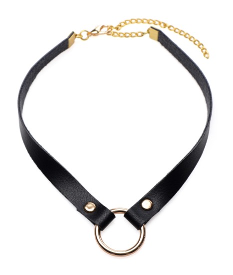 Picture of Posh Pet Gold Ring Slim Choker