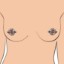 Picture of Crowned Magentic Nipple Clamps