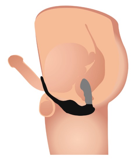 Picture of 7X P-Strap Milking and Vibrating Prostate Stimulator with Cock and Ball Harness