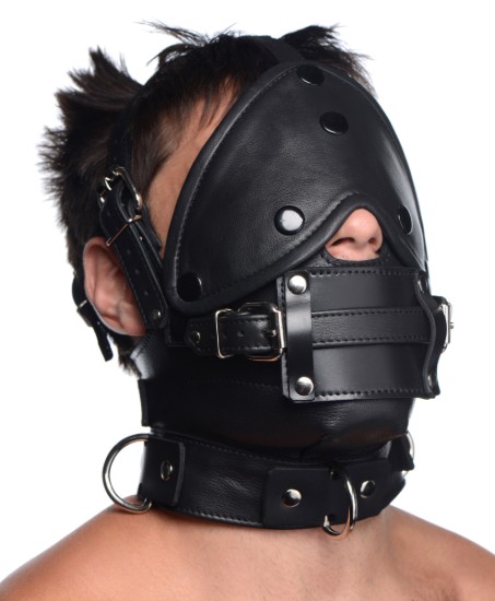 Picture of Leather Head Harness with Removeable Gag