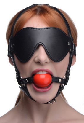 Picture of Blindfold Harness and Red Ball Gag
