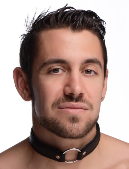 Picture of O-Ring Collar