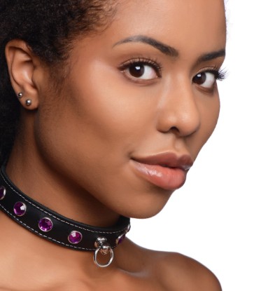 Picture of Royal Vixen Leather Choker with Rhinestones - Purple