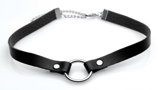 Picture of Lush Pet Silver Ring Slim Choker