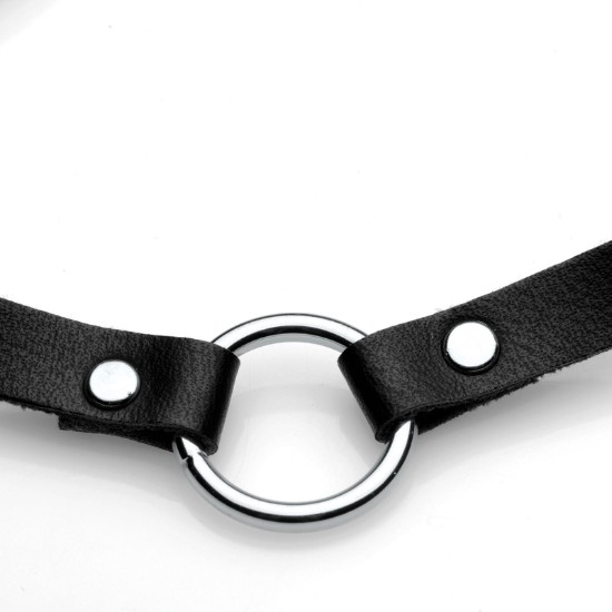 Picture of Lush Pet Silver Ring Slim Choker