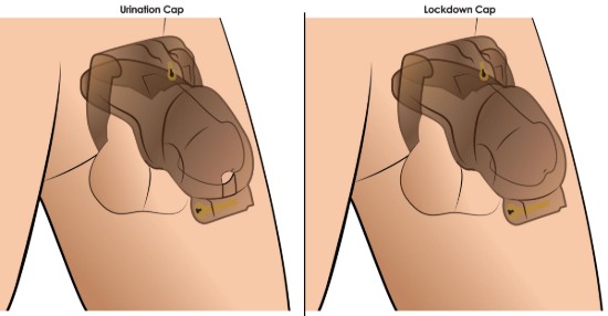 Picture of Lockdown Customizable Chastity Cage - Black