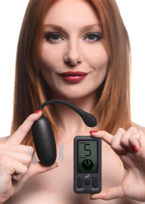 Picture of 25X Platinum Series Plush Egg with Digital Remote Control