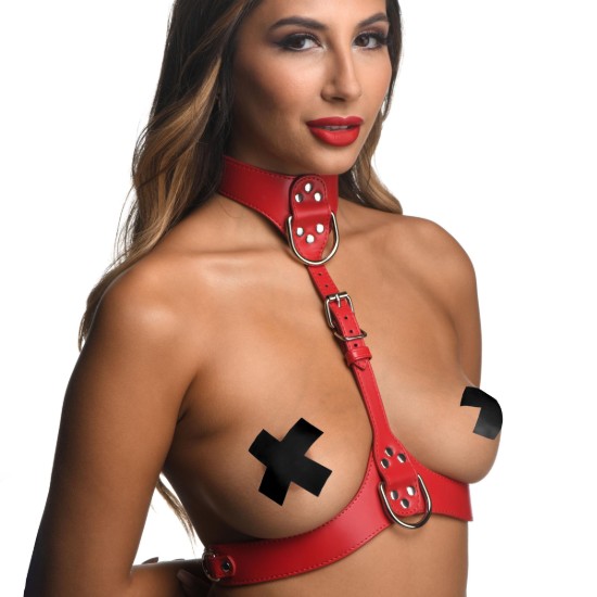 Picture of Red Female Chest Harness- Small/Medium