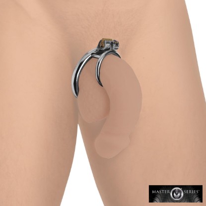 Picture of Locking Cock and Ball Ring