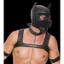Picture of Neoprene Puppy Kit - LXL